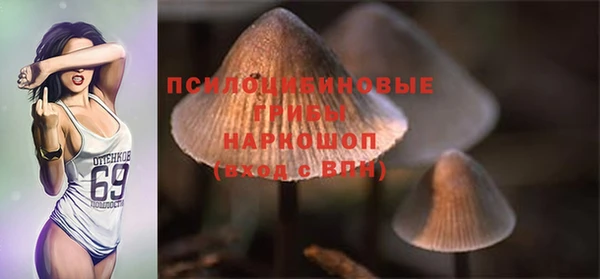 тгк Гусиноозёрск