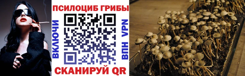 Псилоцибиновые грибы Cubensis  Михайлов 
